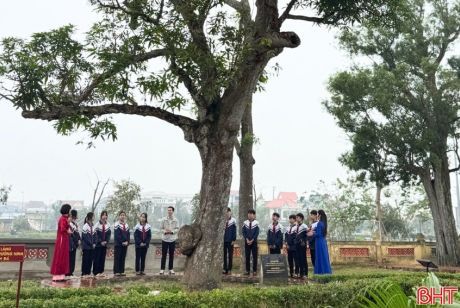 Chuyện những cây cổ thụ trong quần thể di tích quốc gia đặc biệt